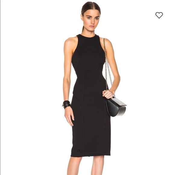 T by Alexander Wang Dresses & Skirts - 🦄HP Wardrobe Goals 4/23/18🦄 SOLD